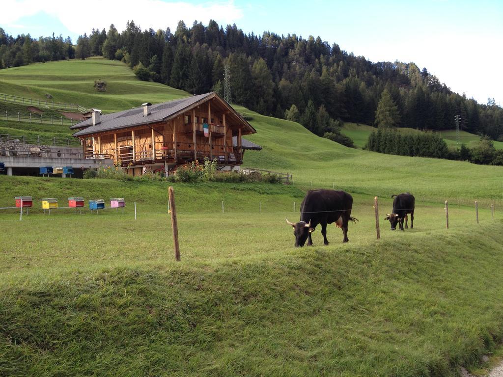 Agritur Ciasa Do Pare Villa Сорага Екстериор снимка